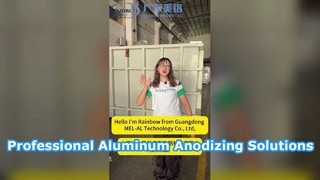 Professional Aluminum Anodizing Line Solutions