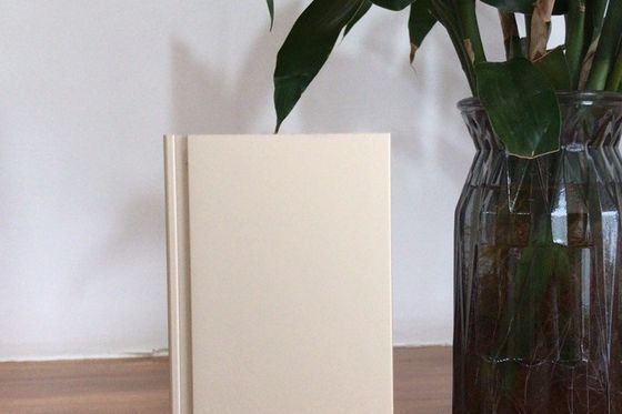 Buon prezzo Linea di produzione Manunal Oxidation con una capacità di approvvigionamento mensile di 900 tonnellate in linea