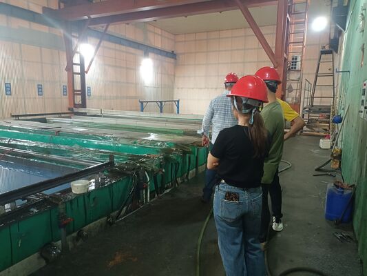 Harga bagus CDEY Special Lifting Overhead Crane untuk Aluminium Anodizing Oxidation Line. on line